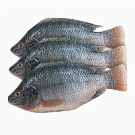 Tilapia whole