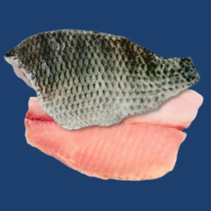 Frozen Tilapia Fish Fillet 10 kg box