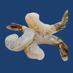 Frozen Shrimp PD Tail on