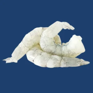 31/40 PD Shrimps