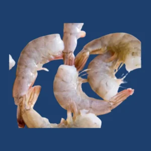 Scampi shrimps