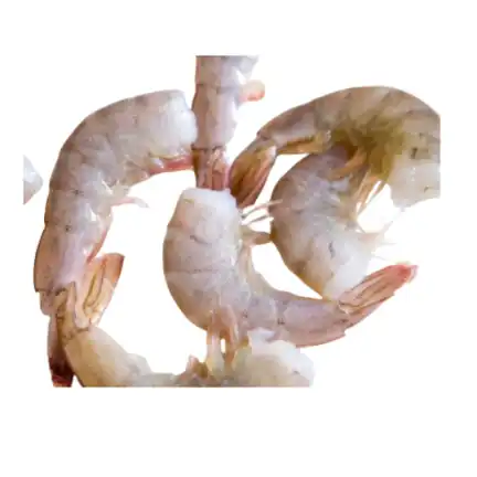 Shrimps Scampi PD