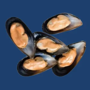 Half Shell Mussels China 10 kg box