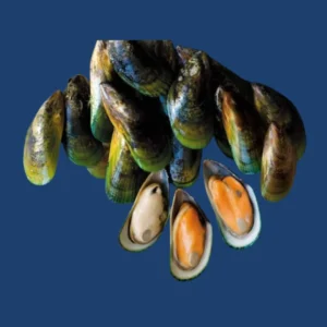 Half Shell Mussels New Zealand