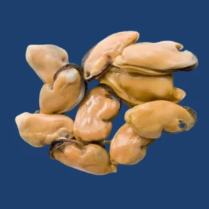 Mussels Meat China Frozen - 10 kg box
