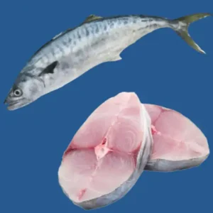 Frozen King fish supplier in UAE