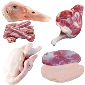 Duck Parts