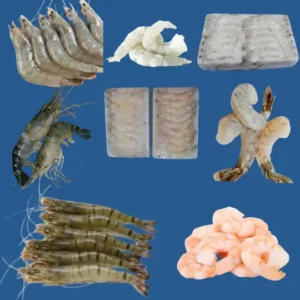 Shrimps