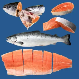 Salmon