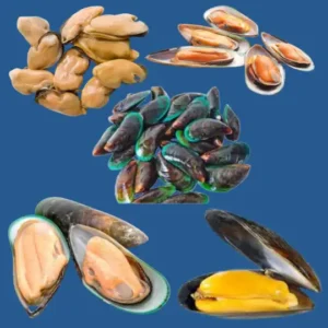 Mussels