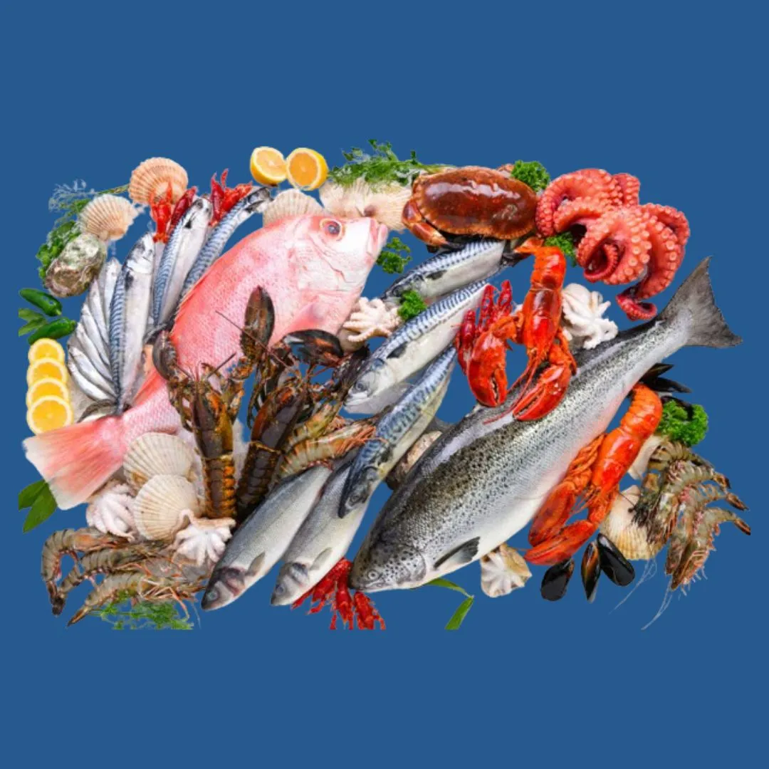 Frozen Fish Suppliers in UAE