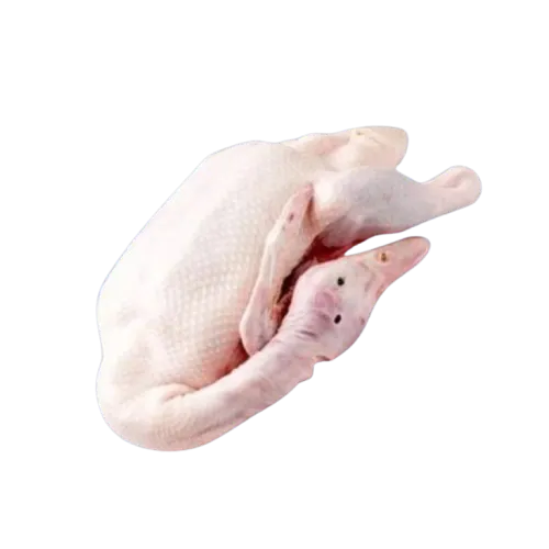Frozen Duck whole supplier in UAE