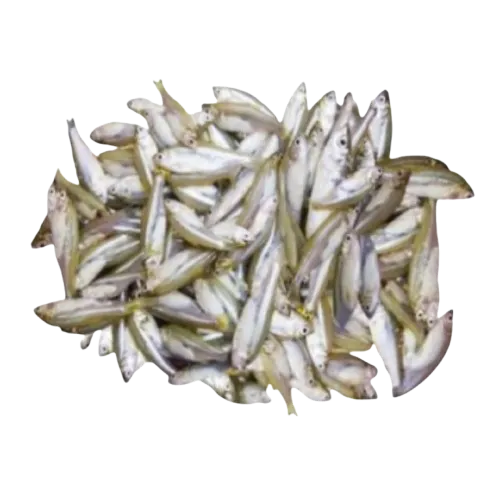 Mokka supplier in UAE