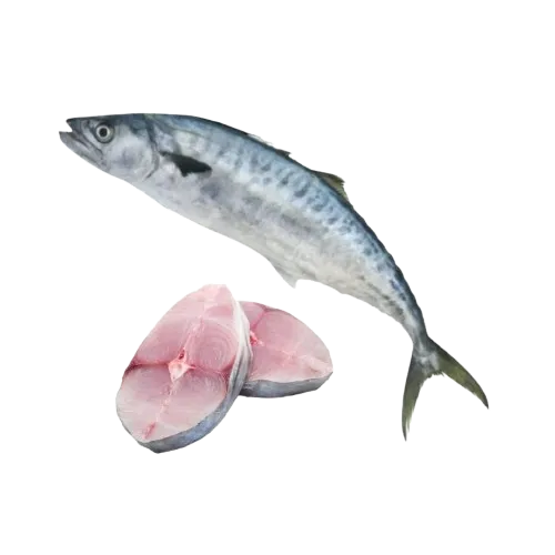 King fish supplier in UAE