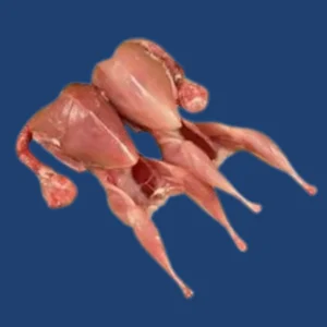 Lagoon Chicken whole supplier in UAE