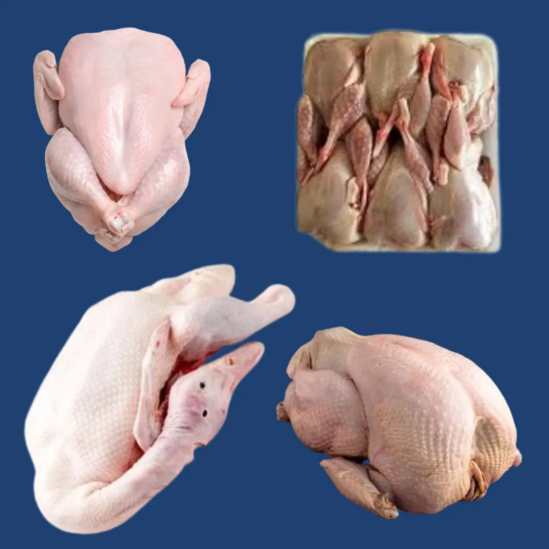 Frozen Poultry supplier in UAE