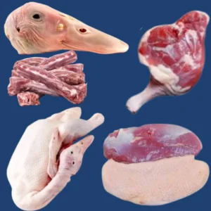 Duck