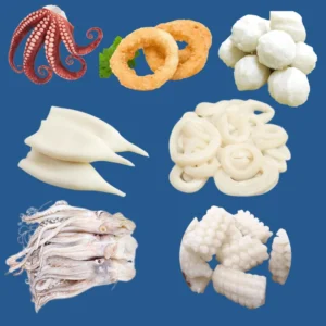 Squid parts