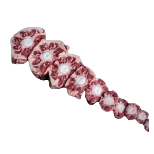 Oxtail