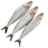 Sardin Fish Menu Image