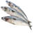 Mackeral Menu Image