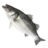 Seabass Menu Image