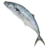 King Fish Menu image
