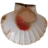 Scallops menu image