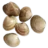 Clams menu image