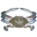 Crab menu image