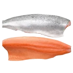 Fillet-removebg-preview