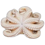 Octopus Menu Image