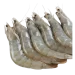 Iranian Shrimps supplier in UAE