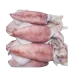 Frozen squid whole supplier in UAE