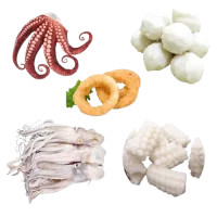Squid_parts__5_-removebg-preview