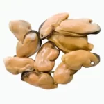 Mussels meat price in UAE