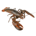 Lobster
